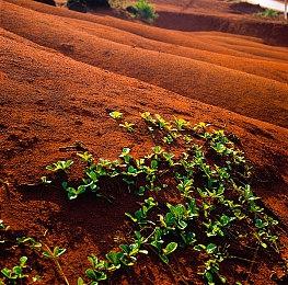 《黑神话：悟空》章节动画《六样情》上线YouTube